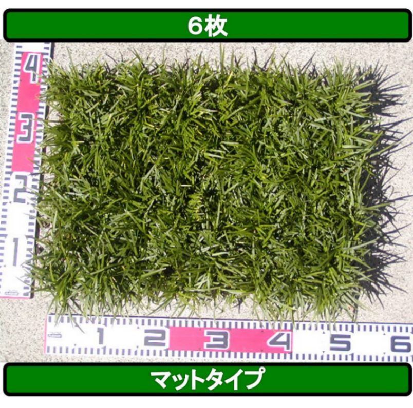 yumikaさん ６枚×２個口 １４２００円