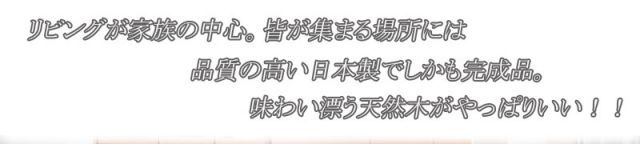 Alder 木目の美しい北欧風天然木アルダー材のカウンター下収納90引戸