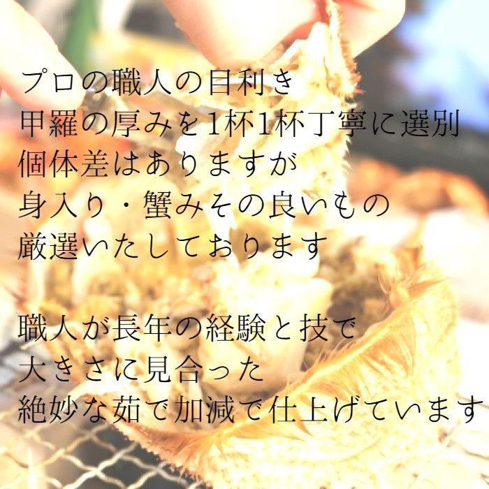 【特大！】北海道産　毛蟹　約800～900g  1尾　冷凍　ボイル　毛がに　カニ-2
