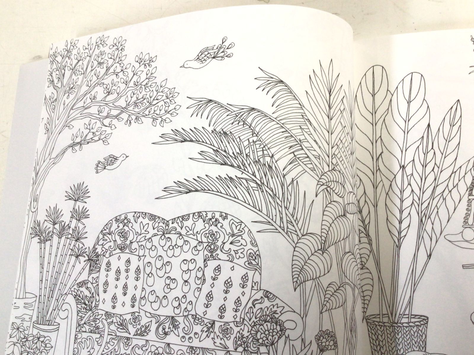 掛け軸 森光子 書 「花さきぬ 花ちりぬ 花みのる」 紙本 希少 掛軸 美品 掛け軸 森光子 書 「花さきぬ 花ちりぬ 花みのる」 紙本 希少