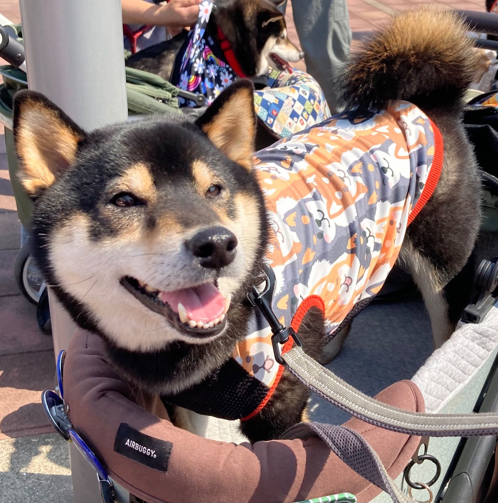 柴犬タンク・ハンドメイド犬服 犬の洋服 オーダーメイド 柴犬 豆柴