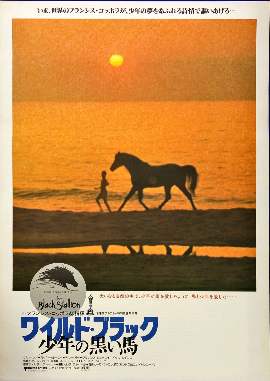 id『ワイルド・ブラック／少年の黒い馬』映画オリジナルB2判ポスター