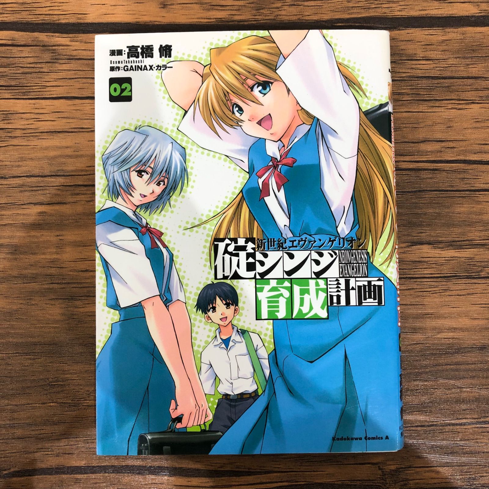 希少 黒入荷！ 新世紀エヴァンゲリオン 碇シンジ育成計画（2）/ 高橋脩 /251247 少年