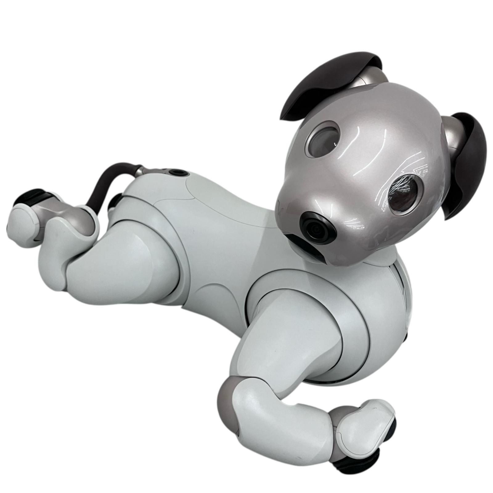 170971 現状品 SONY ソニー AIBO アイボ ERS-1000 動作 済み