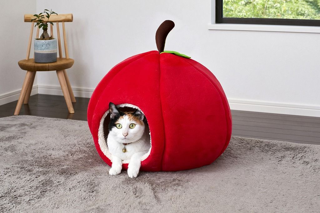 猫用品 アイリスオーヤマ 猫 ベッド 犬 キャラクター ペットベッド