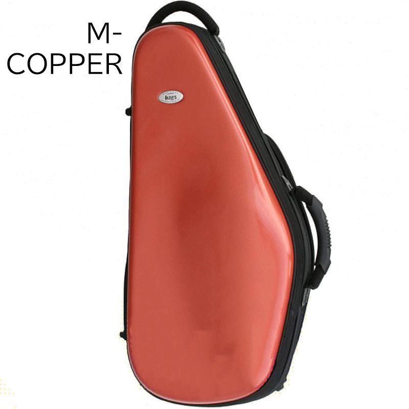 CASE