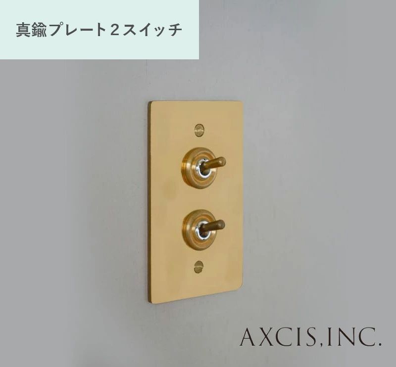アクシス Homestead 真鍮 プレート スイッチ ダブル　トグルスイッチ HS2336