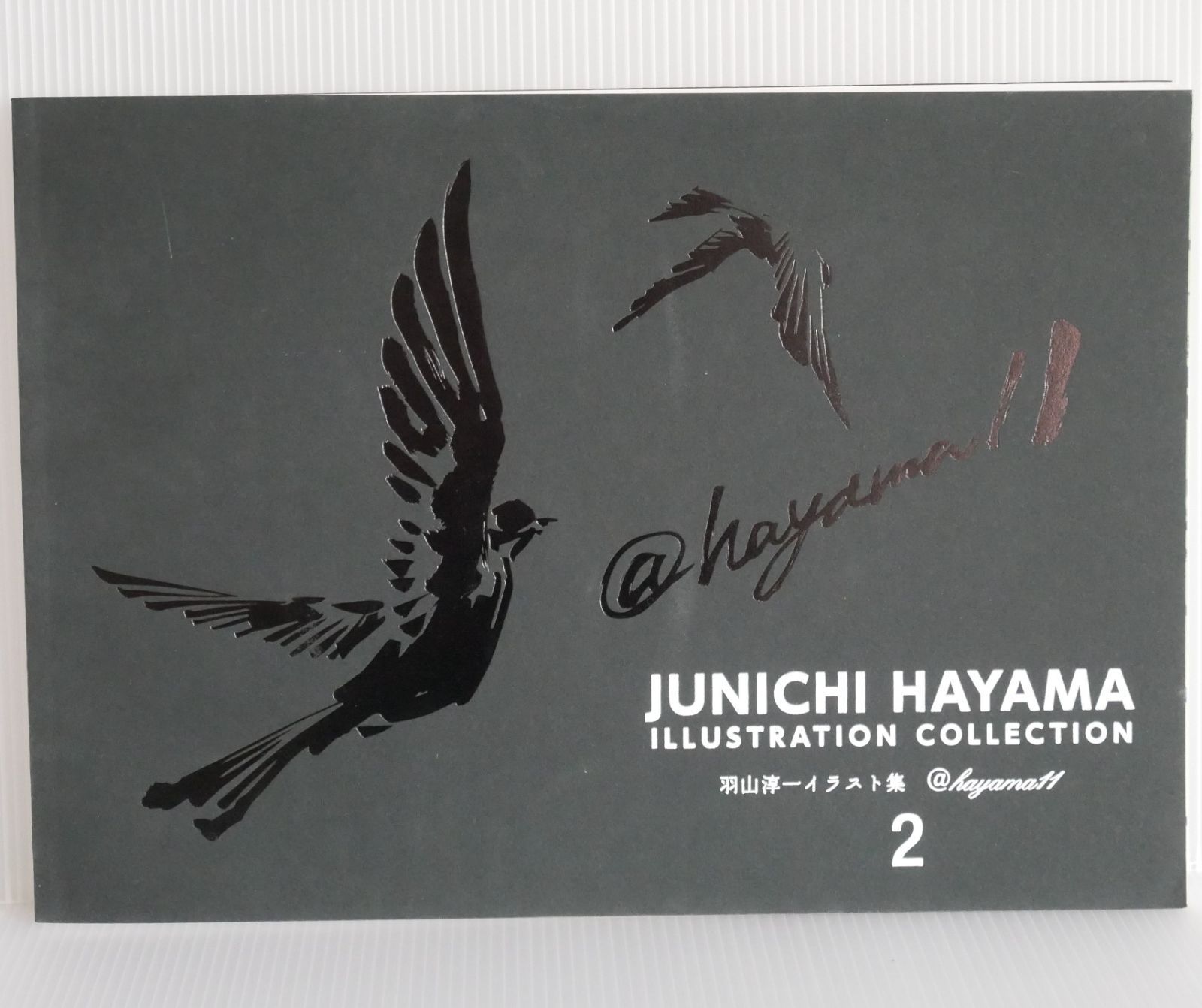 JUNICHI HAYAMA ILLUSTRATION COLLECTION 2 羽山淳一 イラスト集 2 (JoJo's Bizarre Adventure u0026 Other)