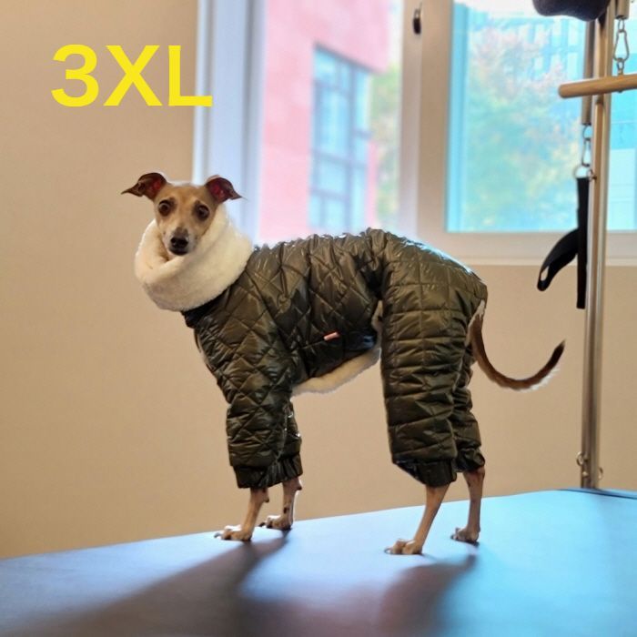 pp closetドレス 37 pp closetドレス 37 pp* closet 37