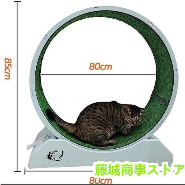 猫用回し車