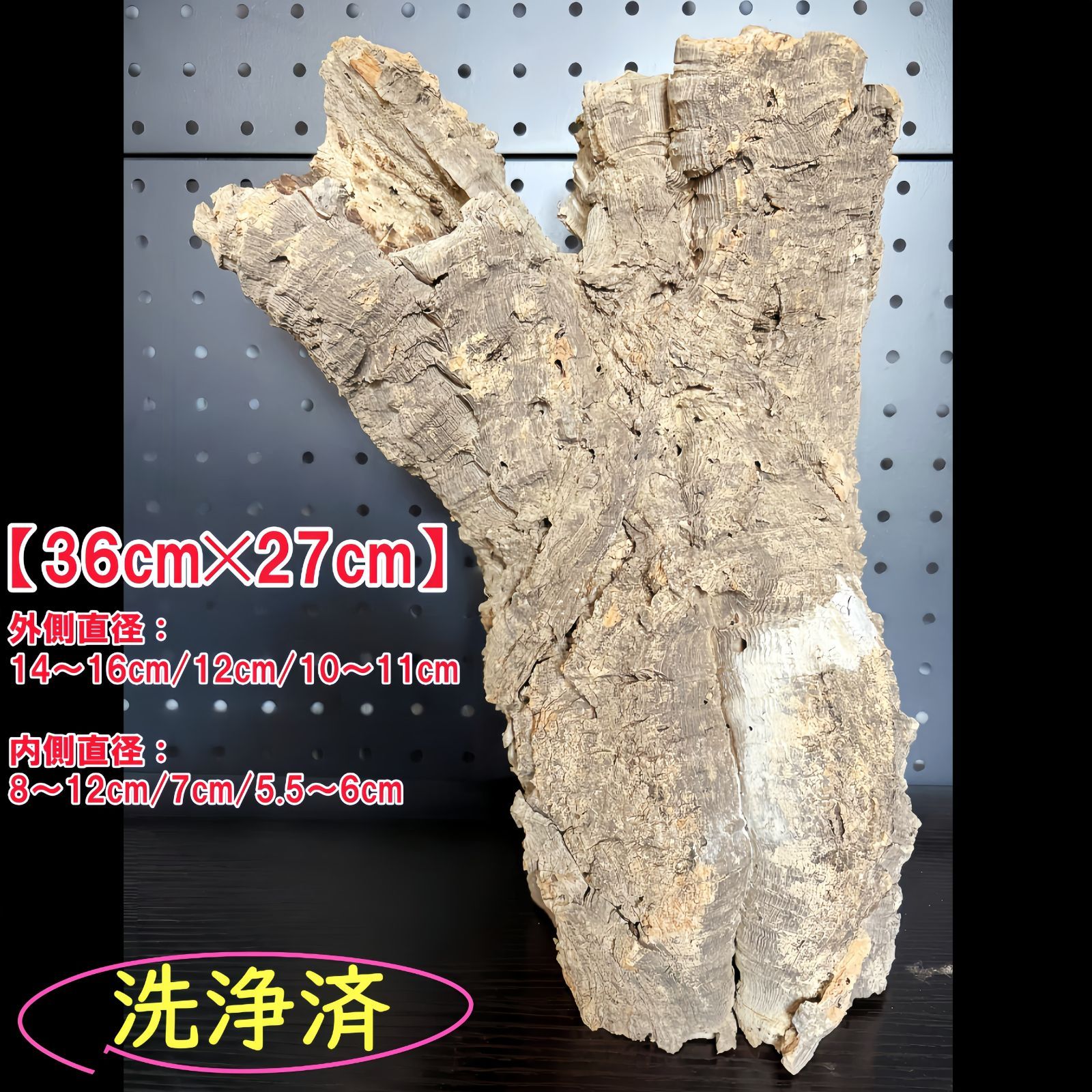 SD205 ポルトガル産 キャノンコルク コルク樹皮 コルク板 バージンコルク 送料無料 チランジア ビカクシダ 着生ラン 両生類 爬虫類
