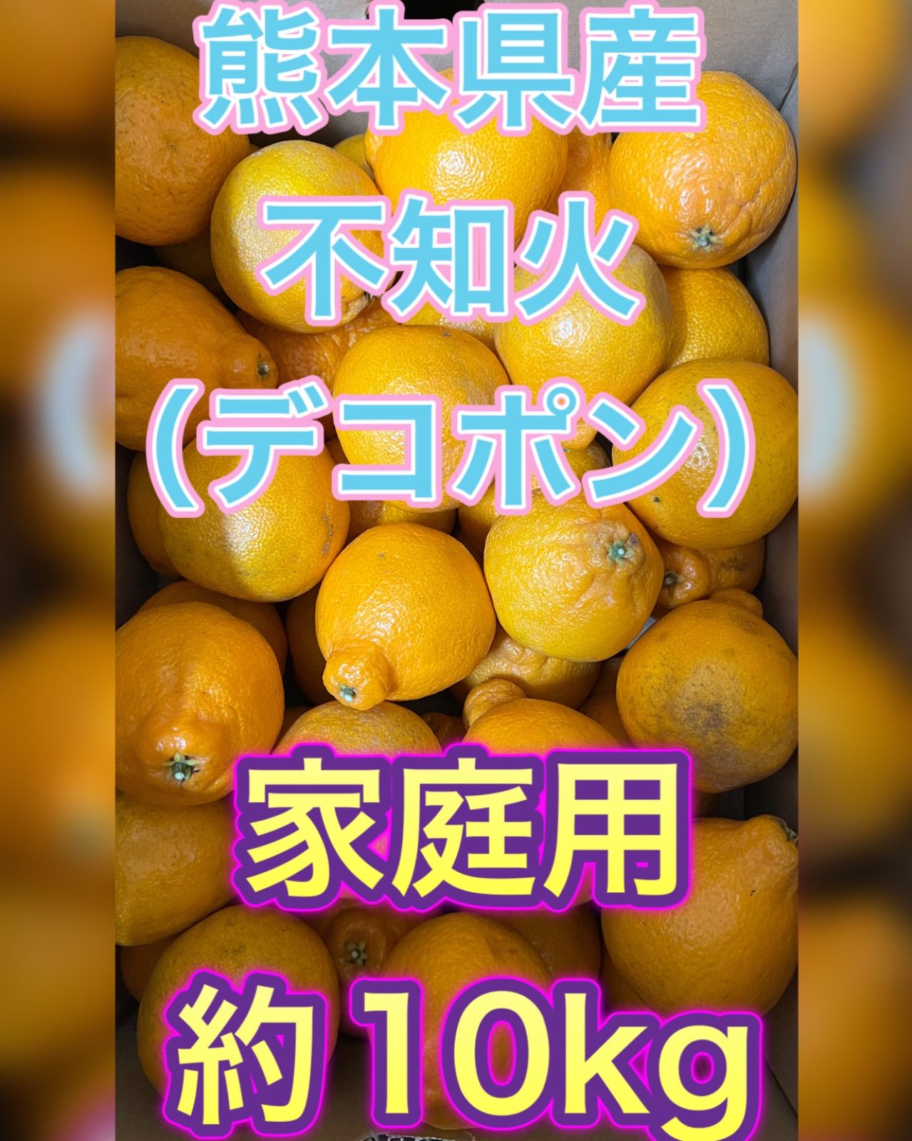 のサムネイル