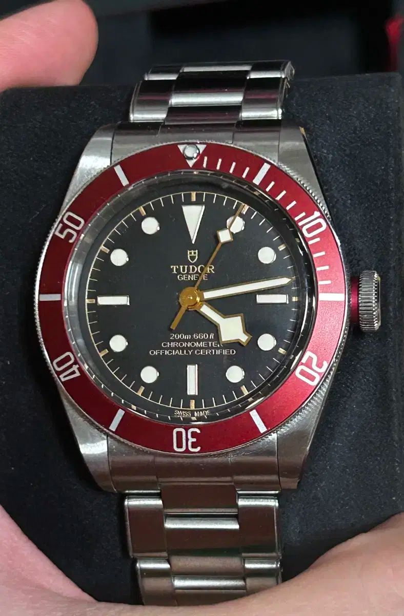 チューダー ブラックベイ バーガンディ 41mm