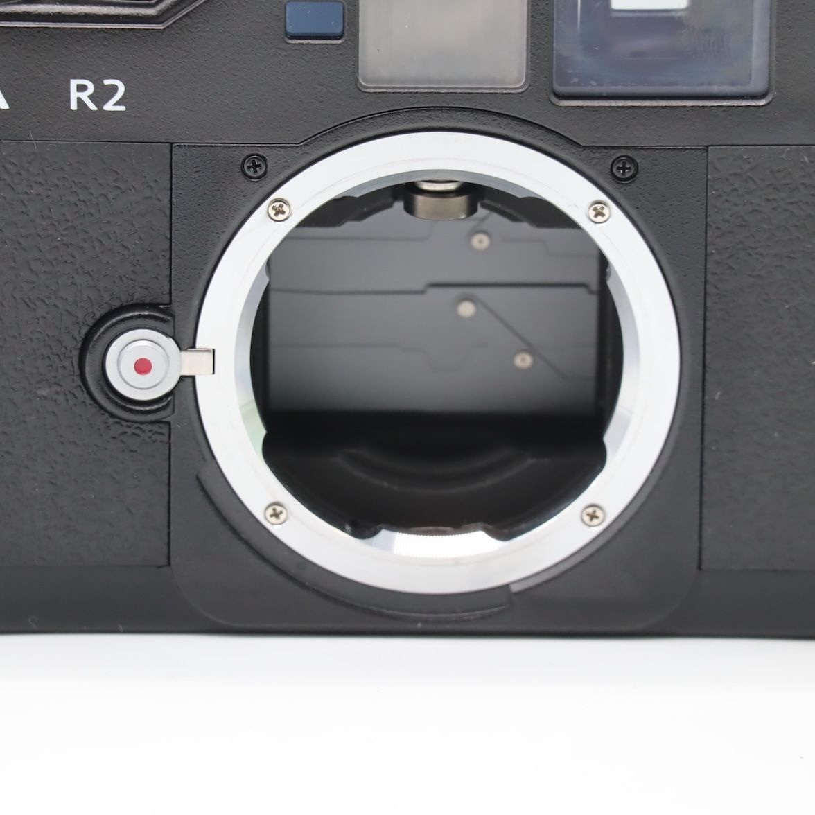 上品 Voigtlander