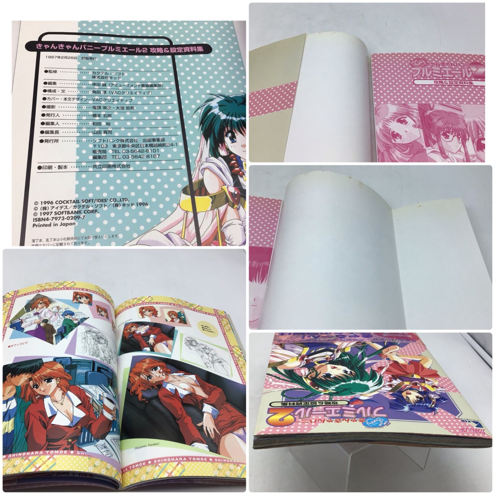 7255 【3冊セット】きゃんきゃんバニー プルミエール2攻略＆設定