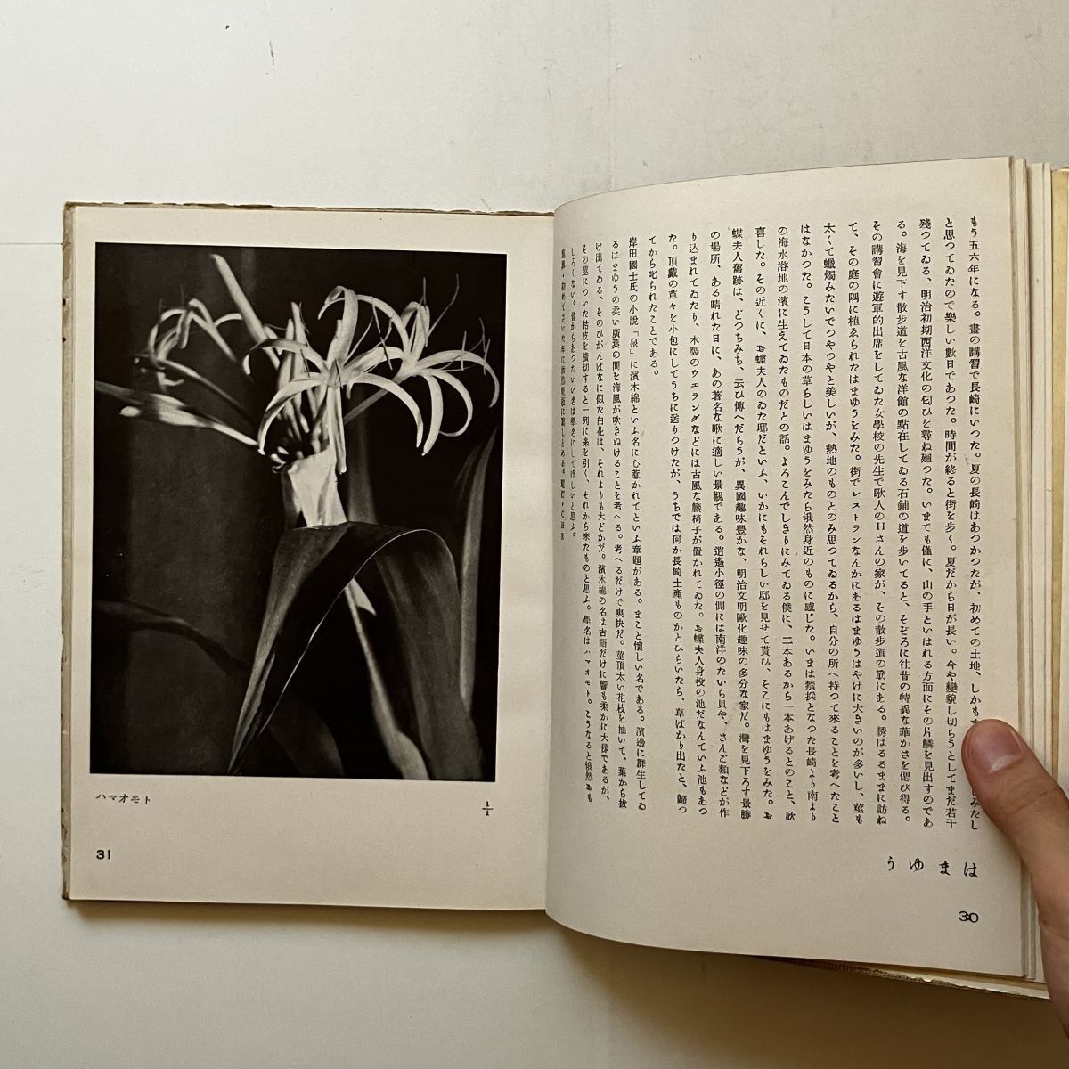 恩地孝四郎貴重書「博物志 : 寫眞・随筆」玄光社 1942年 141p 12いyn