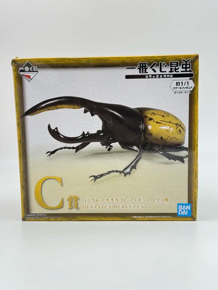 BANDAI バンダイ 一番くじ 一番口 ヘラクレス 1 スケール C 賞