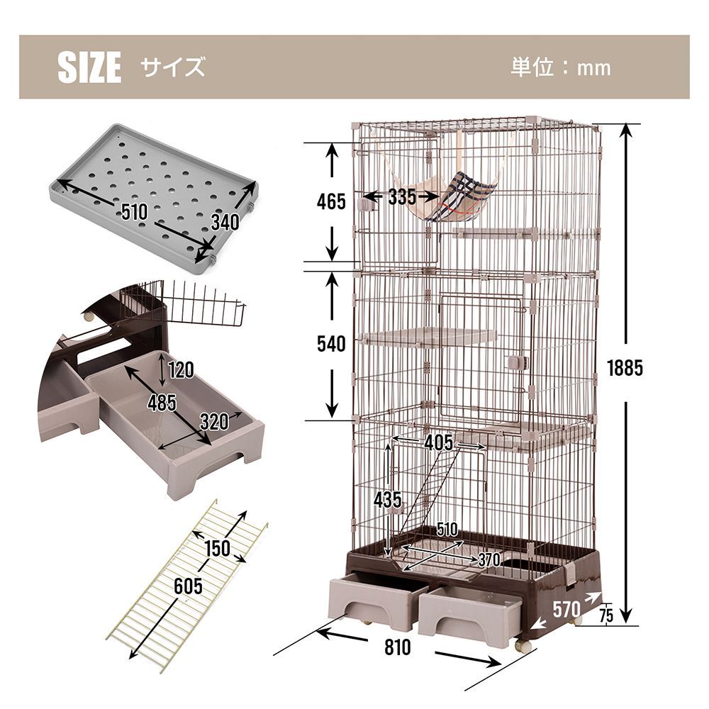 猫