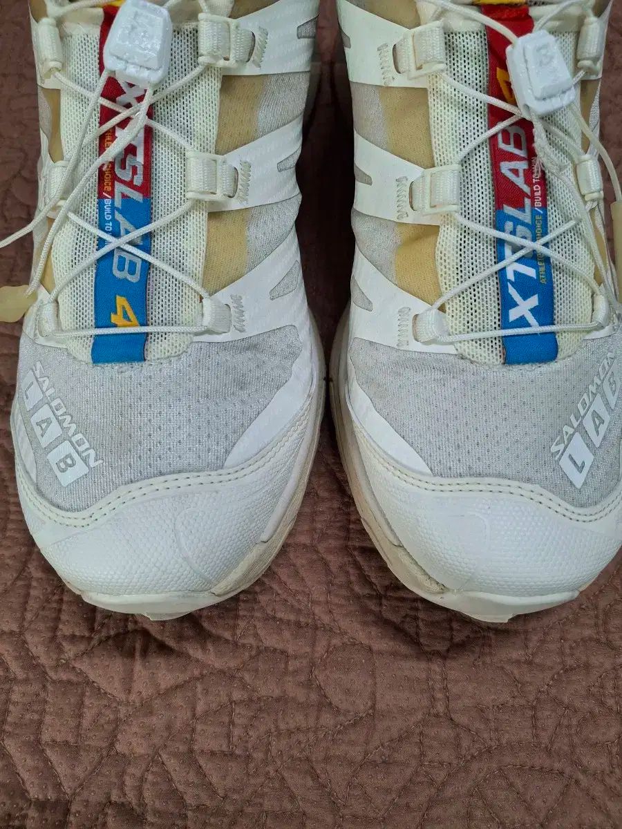 SALOMON サロモン