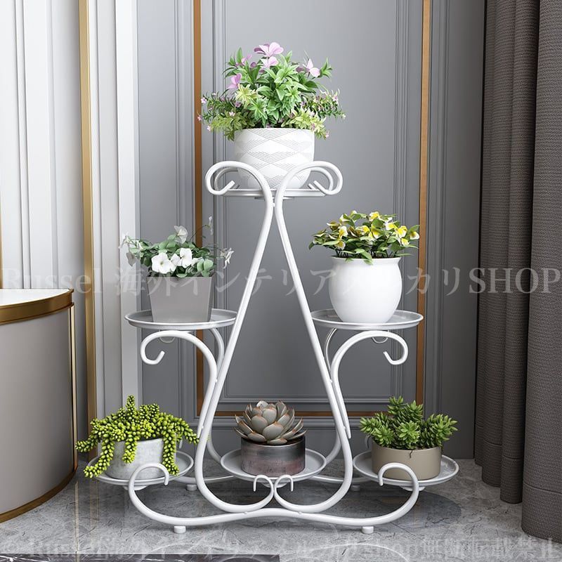 現品］【希少】10T ストレリチア ノンリーフ 根上がり 7号 大型