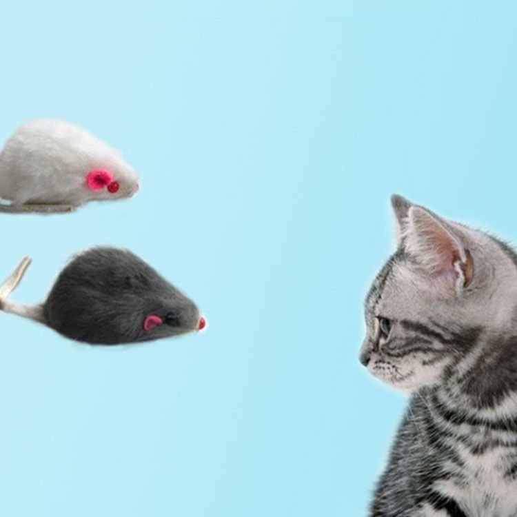 猫 ネズミおもちゃ 10個入り 猫用 ネズミ ぬいぐるみ ウサギの毛