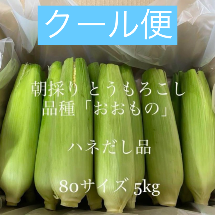 朝採り！とうもろこし 品種「おおもの」ハネだし品🌽クール便 先行予約