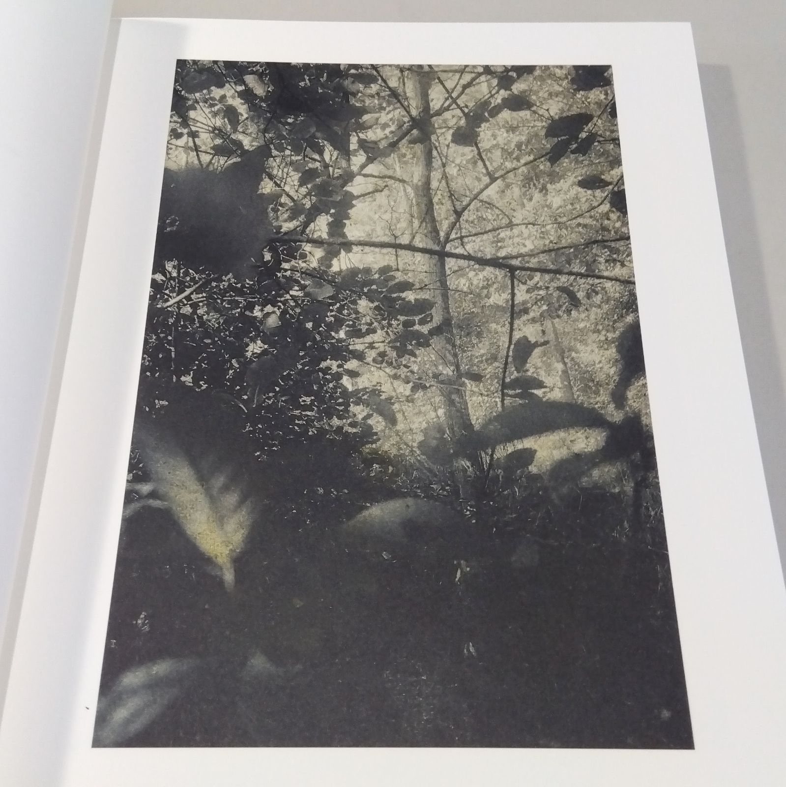 Stephen Gill: Night Procession - メルカリ