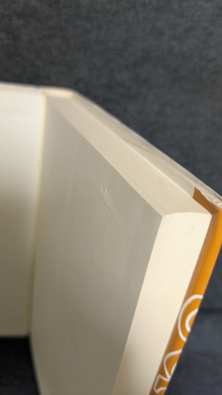 シェリング哲学入門