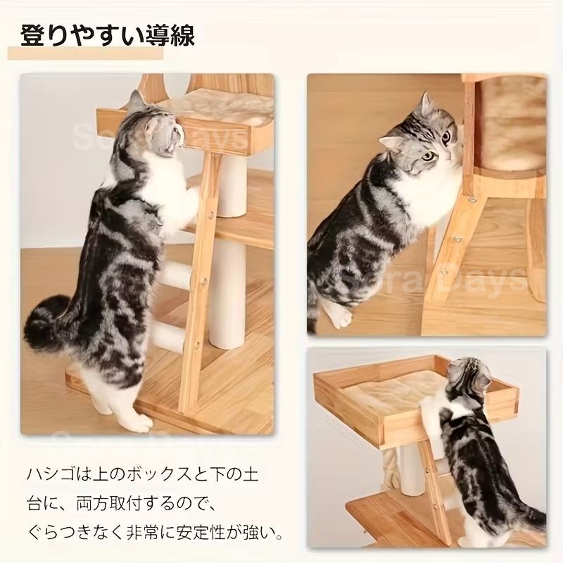 多頭飼い