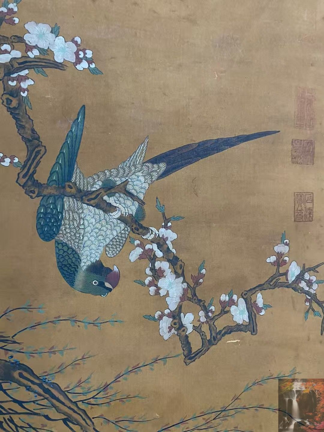 中国 明時代 繆輔 魚藻圖 絹本 原色複製 ◇検故宮博物館◇ 一鼎軒0926