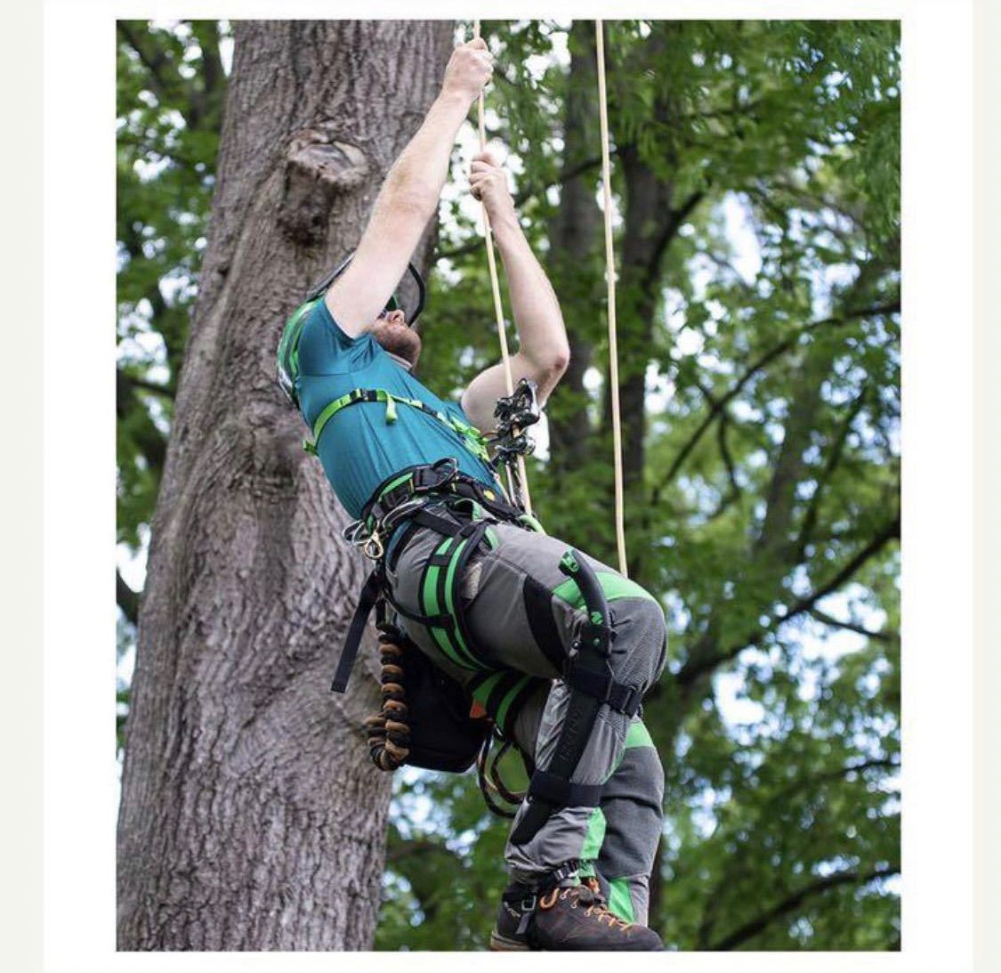 CE】Notch ノッチ ロープランナー プロ Rope Runner Pro アーボリスト ツリークライミング 造園 - スポーツ別