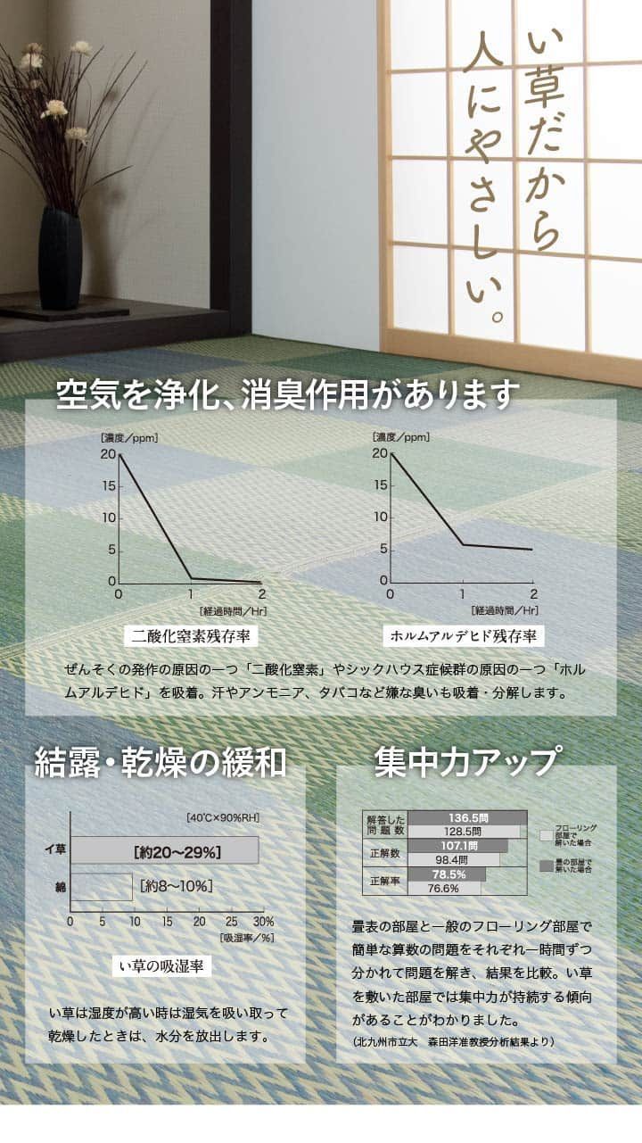 い草ラグ 花ござ カーペット ラグ 6畳 格子柄 市松柄 『ピーア』 江戸