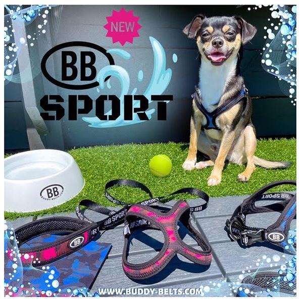 バディーベルトハーネス・レッド2.5号・ペブルグレインレザー