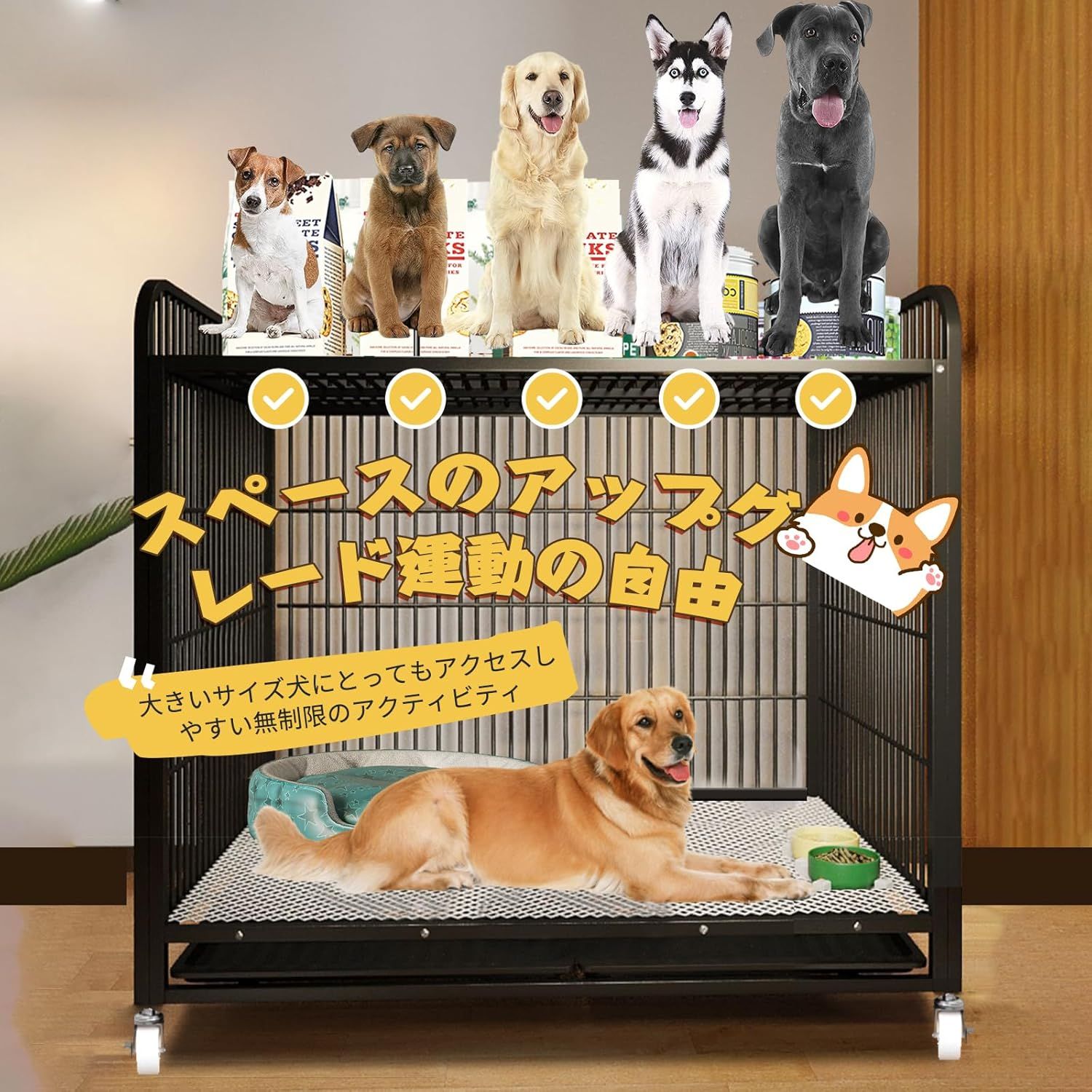 小型犬