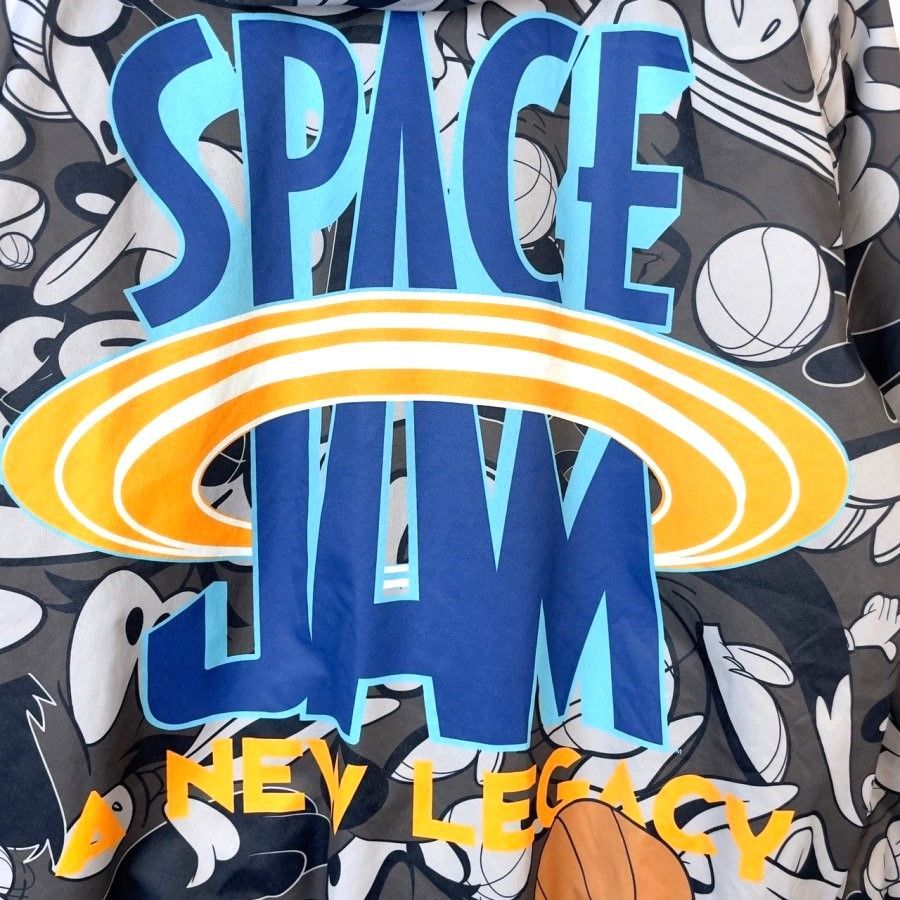 ルーニー・テューンズLooney TunesスペースジャムSPACEJAM中綿入り 