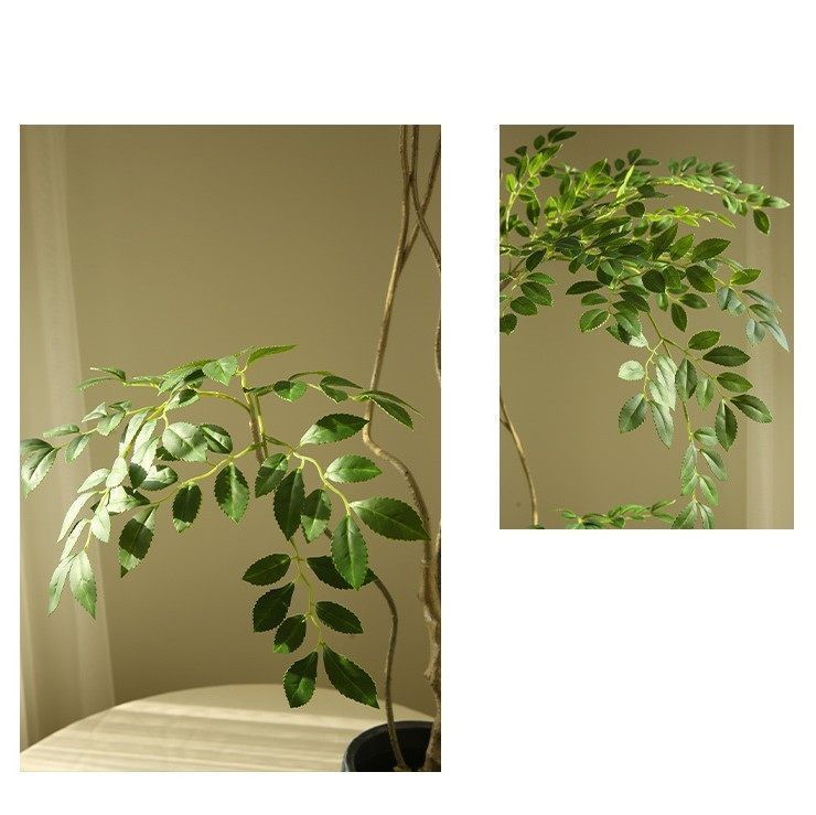 人工観葉植物楡 ニレ