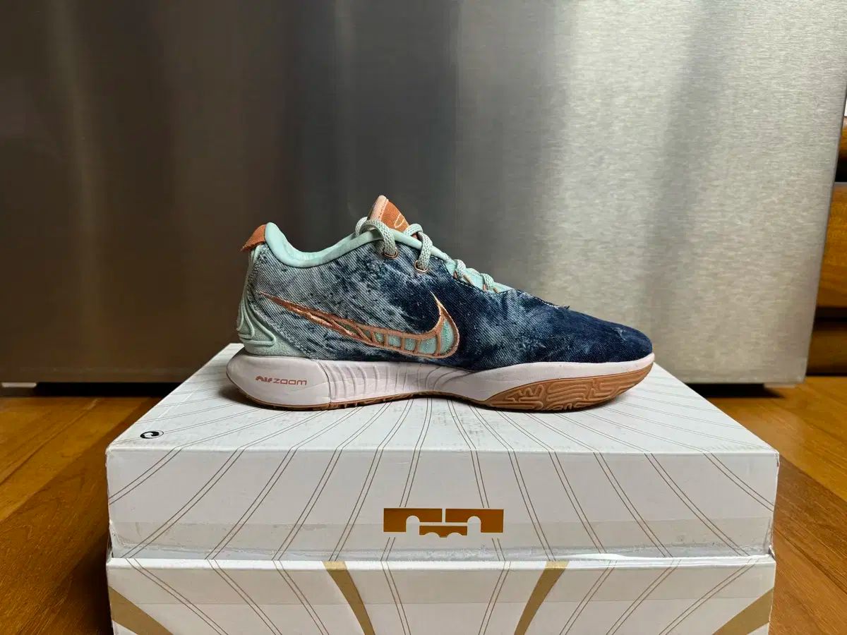 270 NIKE(ナイキ) レブロン 21 EP アラゴナイト