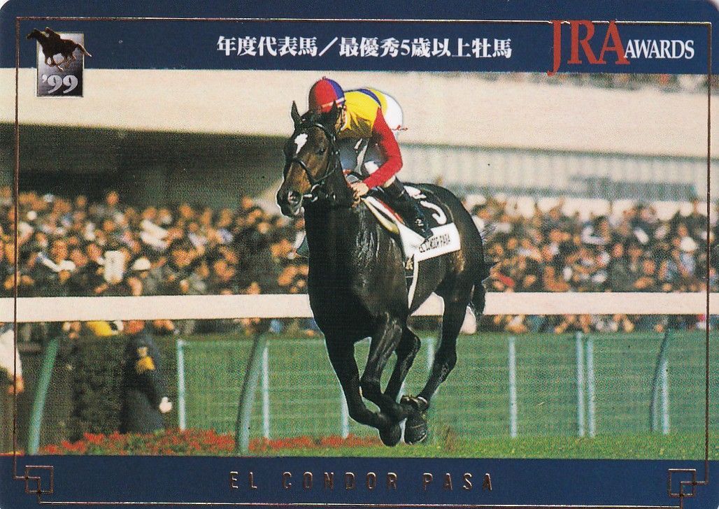 エルコンドルパサー：年度代表馬/最優秀5歳以上牡馬