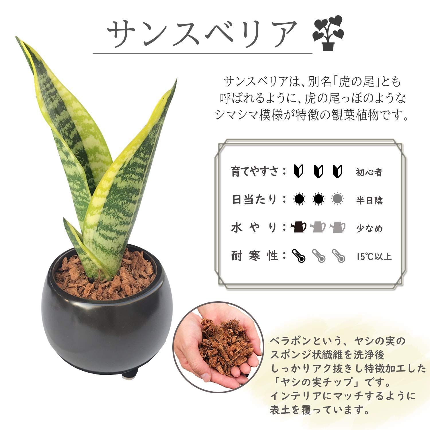 新着商品