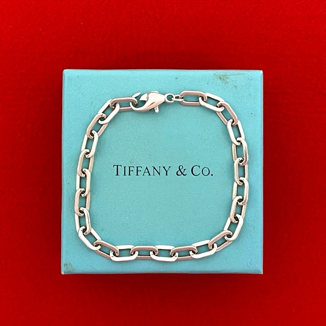 極 美品 TIFFANY&Co. ティファニー エリプス チェーン