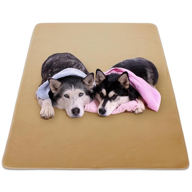 INULABO(イヌラボ) 大判 床保護マット (165×122cm(1枚), ブラウン)