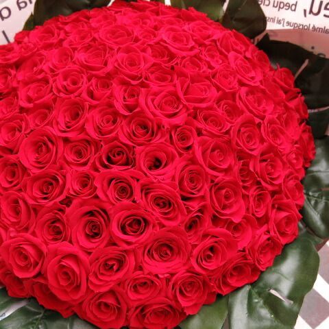 赤バラ 100本 プリザーブドフラワー 赤バラ 花束 赤バラ100本使用 プリザーブドフラワー 花束 枯れずにいつまでもキレイな赤バラ ◆誕生日プレゼント 成人祝い 記念日の贈り物におすすめのフラワーギフト