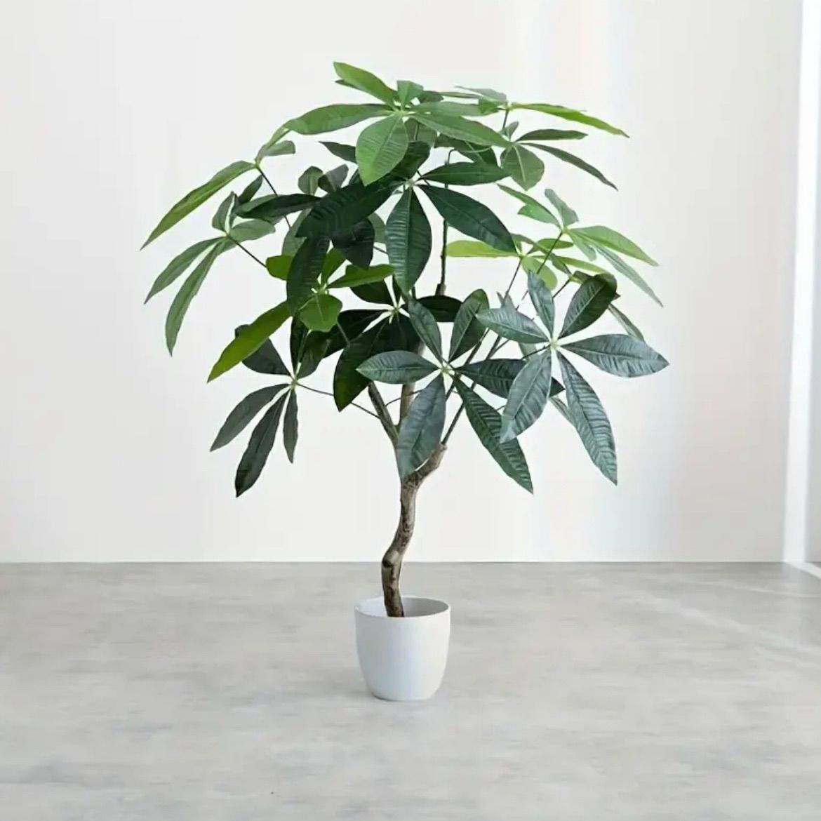 光触媒 人工観葉植物 フェイクグリーン ウッドボックスゴムの木1.8