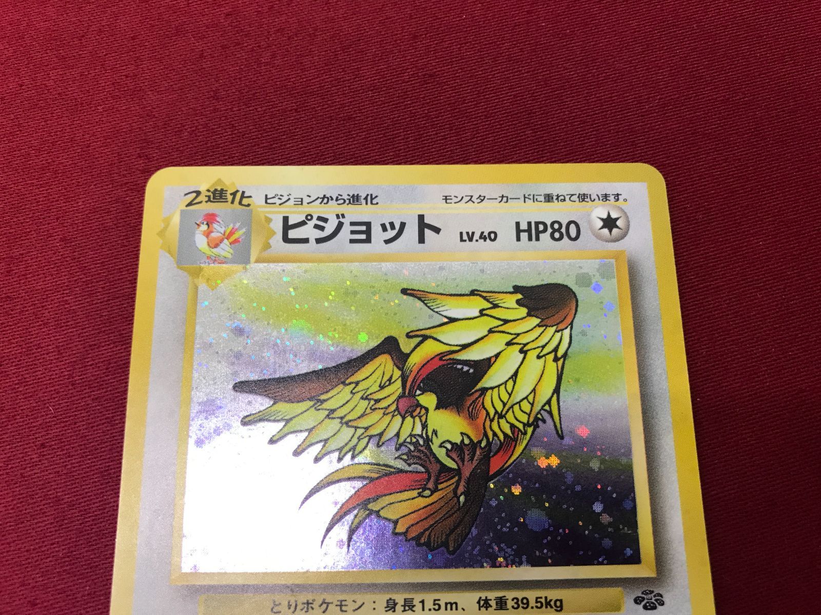 ピジョット LV.40 HP80 ポケモンカード Pokémon CardGame Old Ver./Pokémon Jungle]ピジョット LV.40