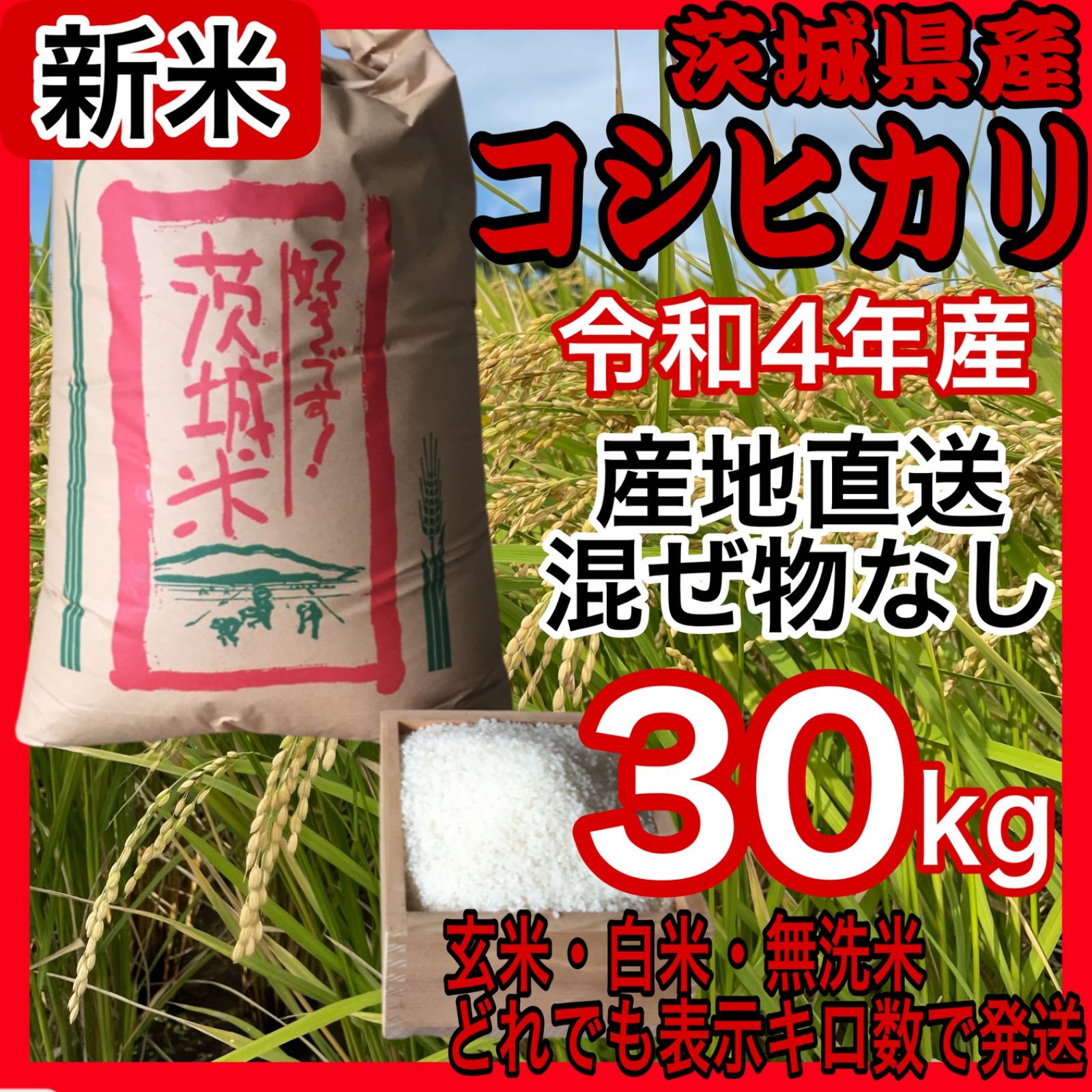 新米 令和4年 茨城県産 コシヒカリ 30キロ 産地直送 白米 - 産地直送