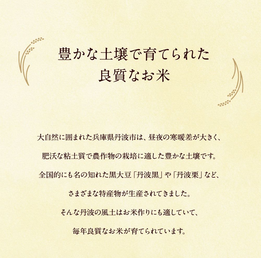 コシヒカリ 精米