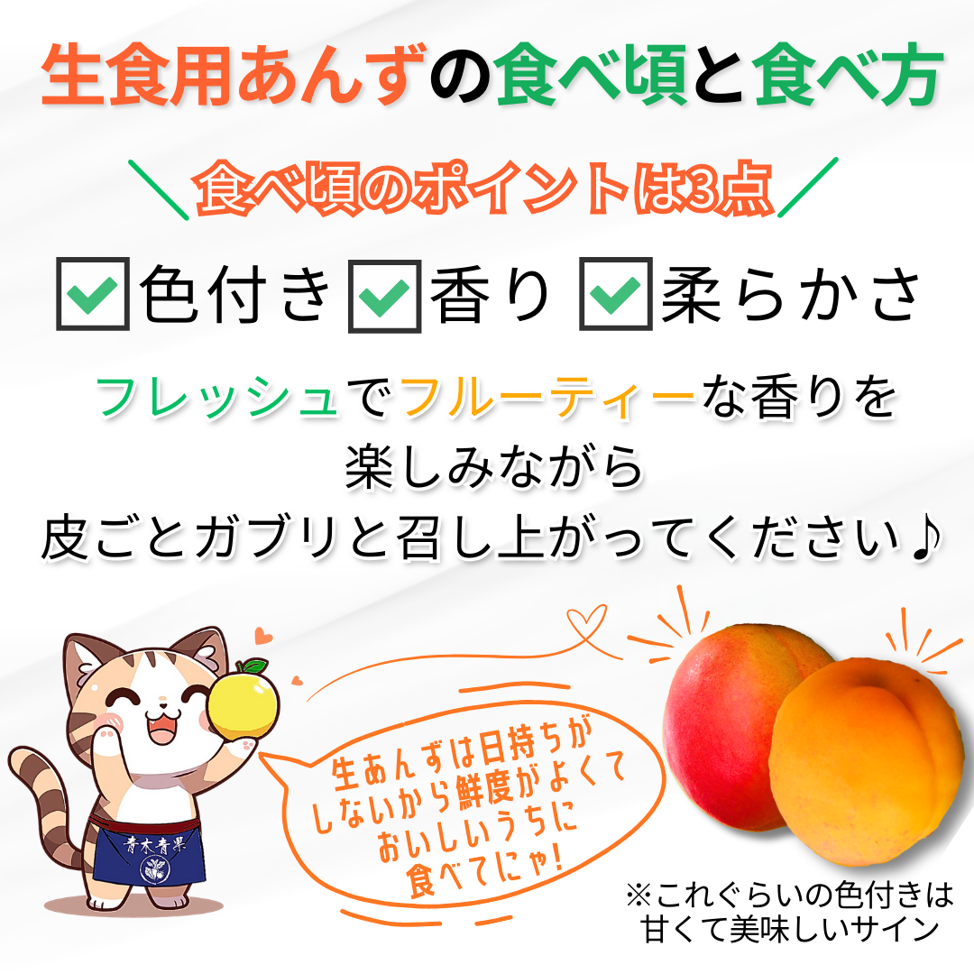 小玉あんず～杏シロップ・杏酒用～【内容量】約1.8kg【配送方法】クール配送【サイズ】L以下【品目】杏（あんず）【品種】当店お任せ【産地】長野県【規格】ご家庭用A品B品混合【詰め方】バラ詰め【配送までの日数】1～4日
