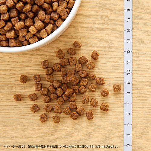 ⑧ナチュラルチョイス 子犬 ラム 17kg ⑧ナチュラルチョイス 子犬 ラム 17kg（ニュートロ ナチュラル