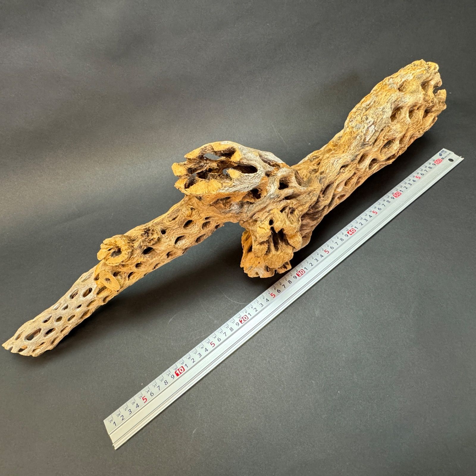 約 長さ68.5cm×最大幅21cm×最大φ12cm＊