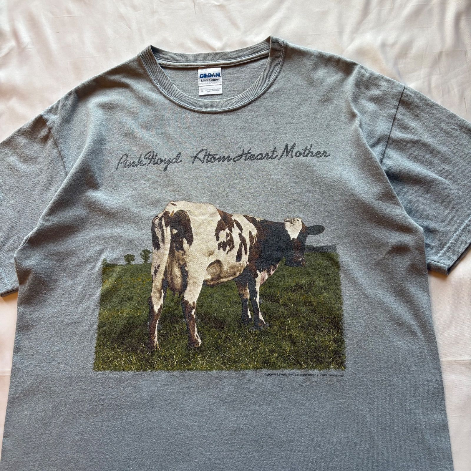 Pink Floyd モンスター・ラプス・オブ・ロンドン Tシャツ Lサイズ 51VMCgKNCpL._AC_SY350_QL65_.jpg